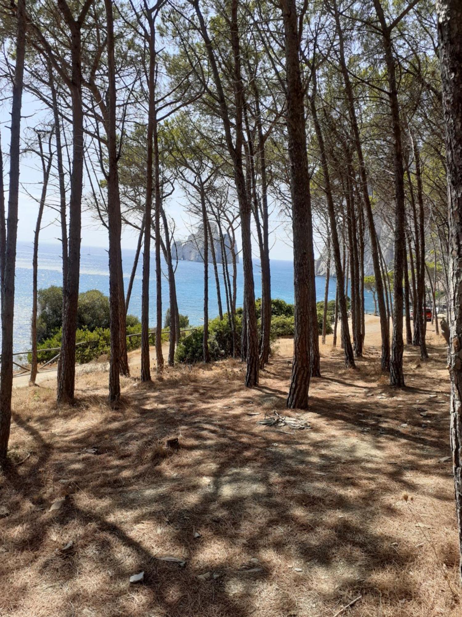 La Villa Tanca Piras Nebida Buitenkant foto